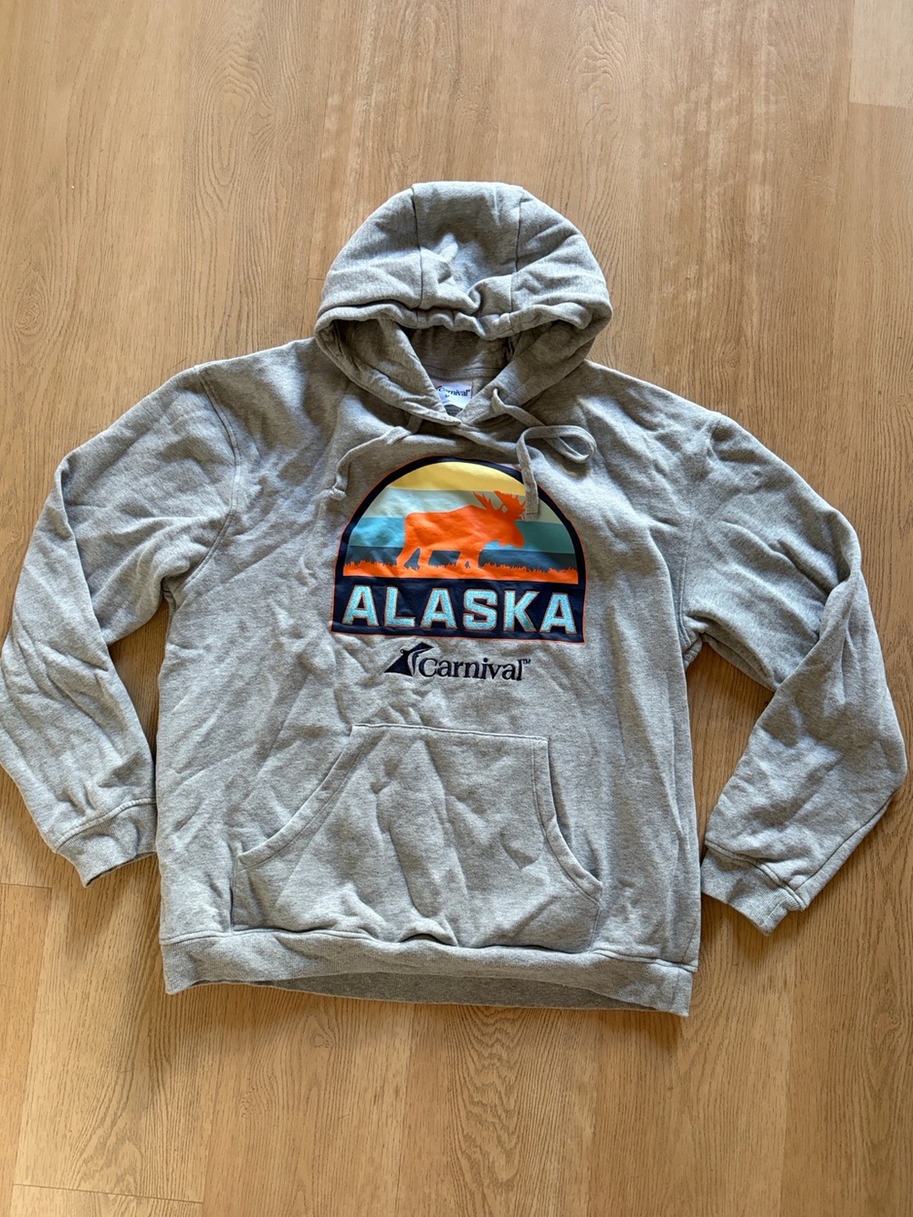 Carnival Alaska Graphic Gray Hoodie Sweatshirt embroidery size medium cruise